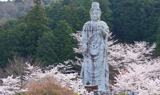春の画像2