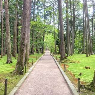 夏の画像2
