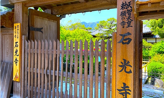 冬の画像1