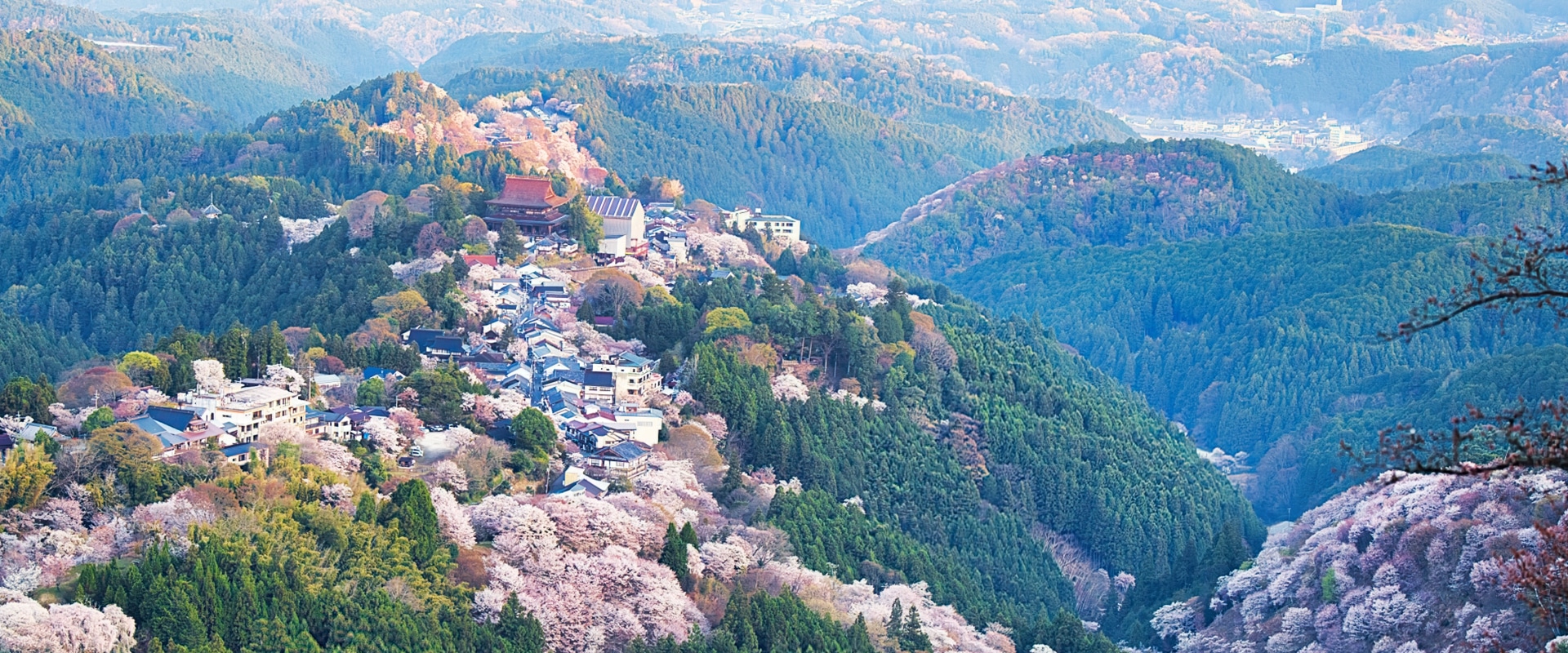ビジネス旅館やまべMV画像1