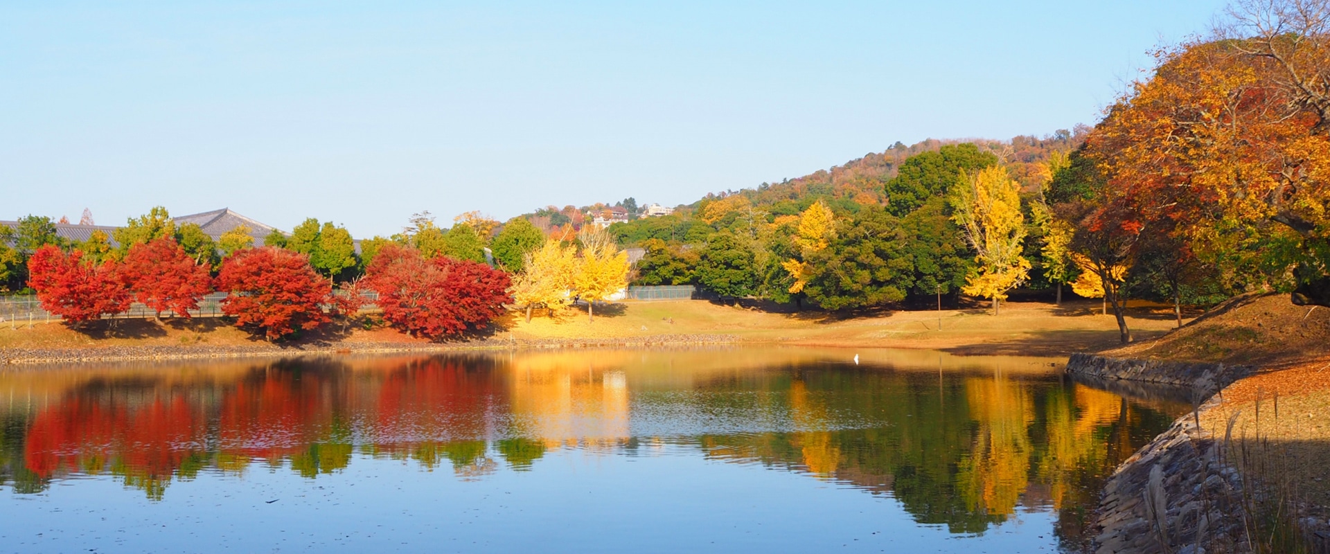 ビジネス旅館やまべMV画像2